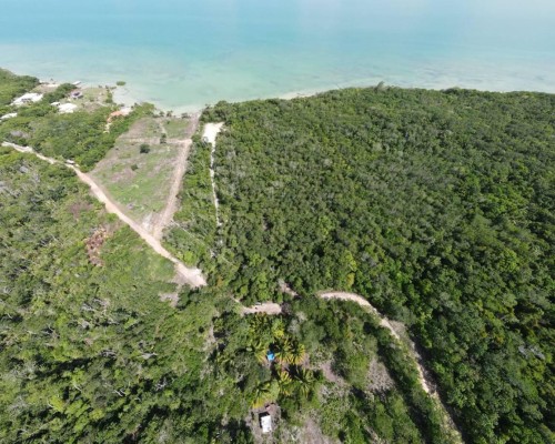 #Belize  1.74 Acre Seafront Parcel near Corozal Town