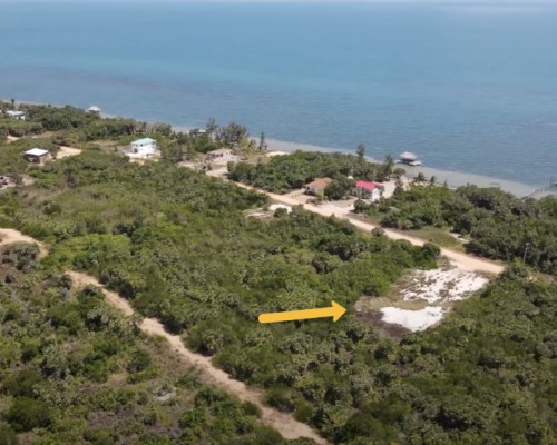 #Belize Placencia Seaview Lot For Sale
