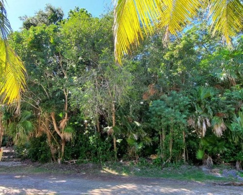 #Belize Half Acre Lot Liana Glades Consejo Shores