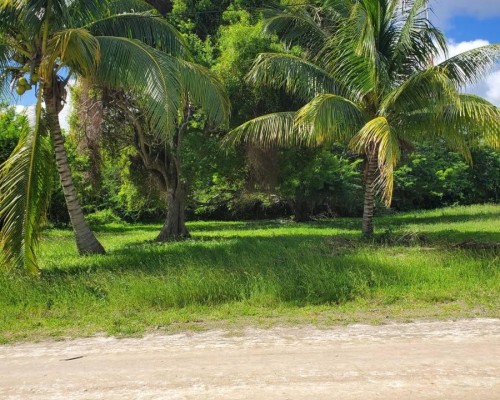 #Belize Undevelopped Land on Plantation Drive Consejo Shores
