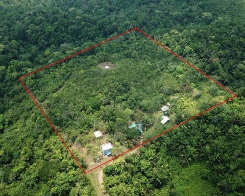 #Belize Lost World Jungle Resort Hummingbird Highway
