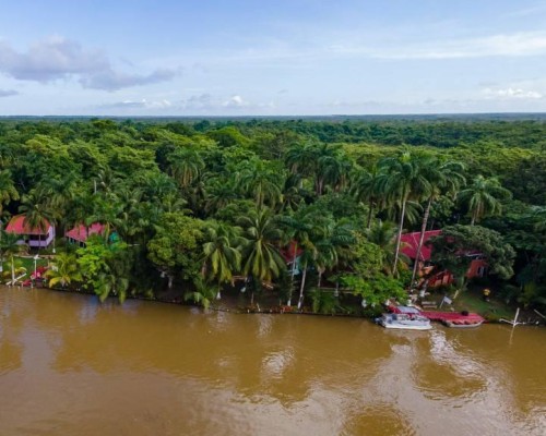 #Banks of the Old Belize River