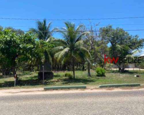 3.3 Acres Roadfront with 450 Ft Canal to the Lagoon, Placencia Road