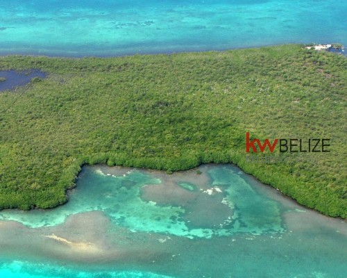 #41.18 acres on the southern half of Columbus Caye
