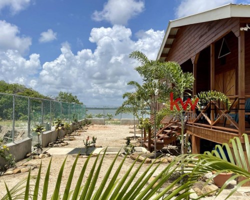 Placencia Road