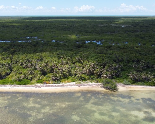 Robles Point area, Ambergris Caye Belize, Parcel 15642 OR Parcel 17467