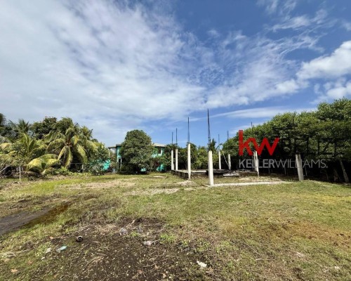 Placencia Road