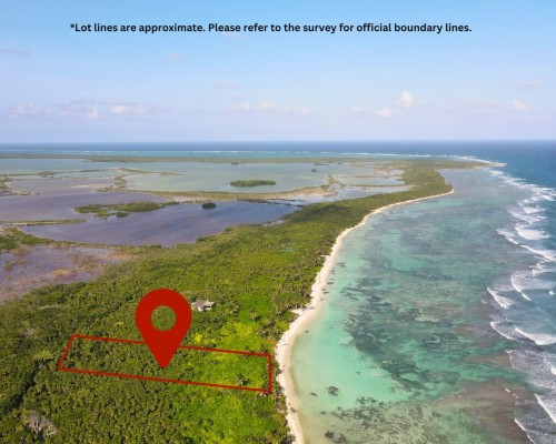 16.5 Miles North Of San Pedro Town, Belize