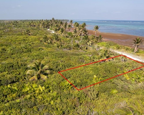 34MC+6FW Bacalar Chico