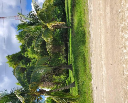 #Belize Undevelopped Land on Plantation Drive Consejo Shores