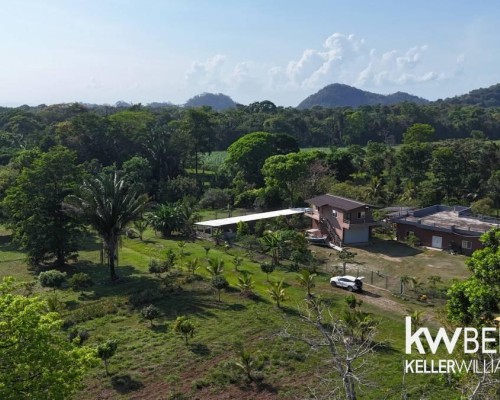 #Punta Gorda Sustainable Farm Estate