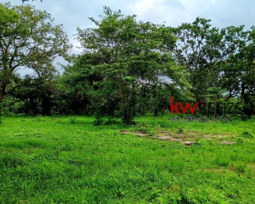 Billy White Village