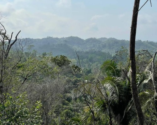 #Hummingbird Highway Belize