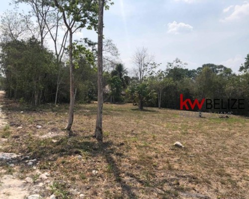 #Belize Five Prime Lots for Sale San Ignacio