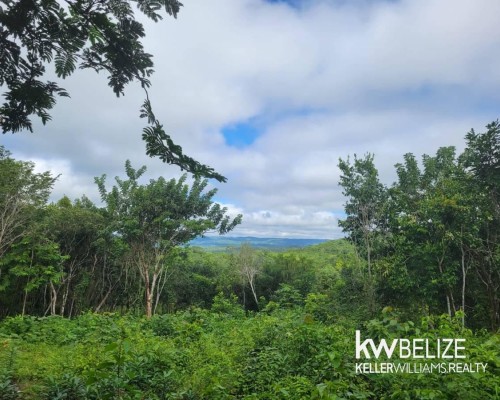 #6 BEAUTIFUL ACRES IN CALLA CREEK