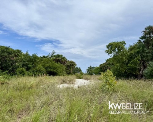 .88 Acres with 2 Parcels including Seafront Parcel with Pier Permit