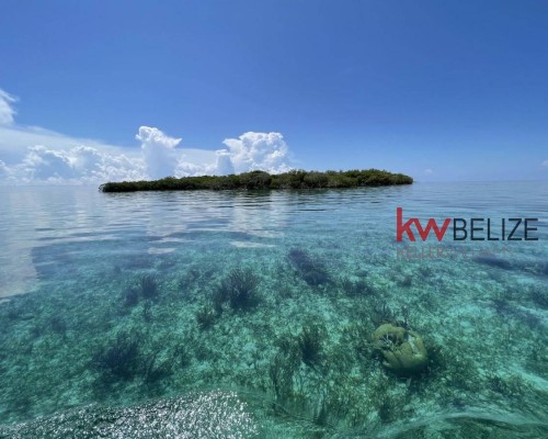 Price Reduction: .25 Acre Island off Placencia Peninsula