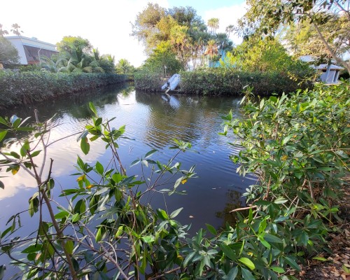 Canal Front Lot in Amik Kil Ha