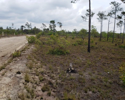 .22 Acre in Independence