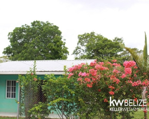 Home with Fruit Orchard in San Ignacio