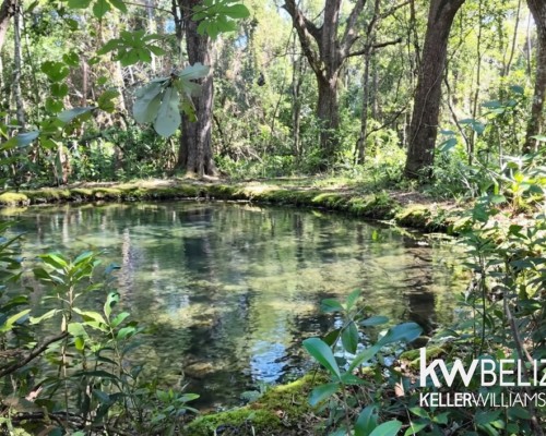 11-Acre Eco Property Near San Ignacio