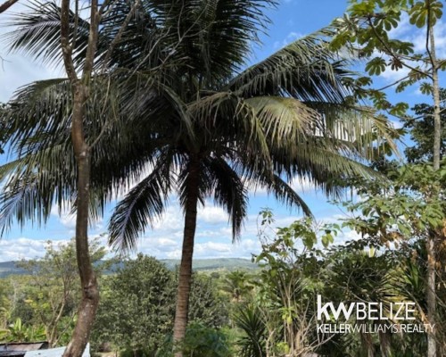 Land for Sale in Bullet Tree Village