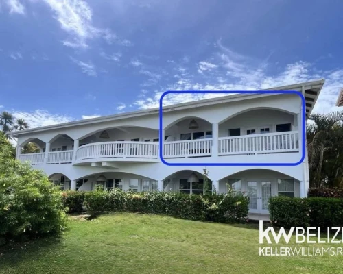 Placencia Road #804